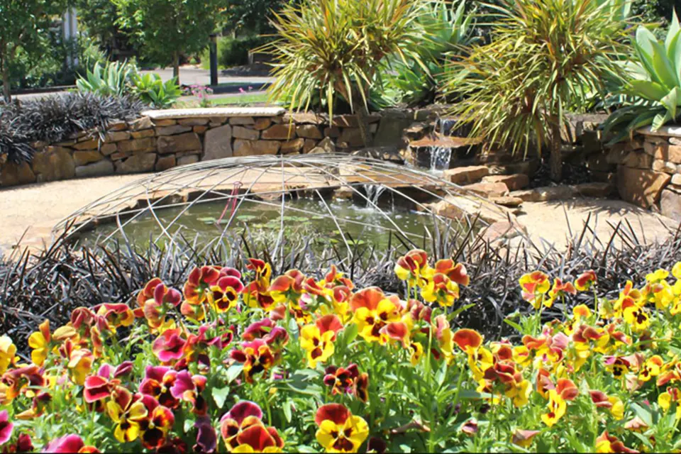 Gallery image from the aged care home.