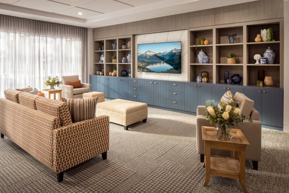 Television lounge with armchairs and shelving