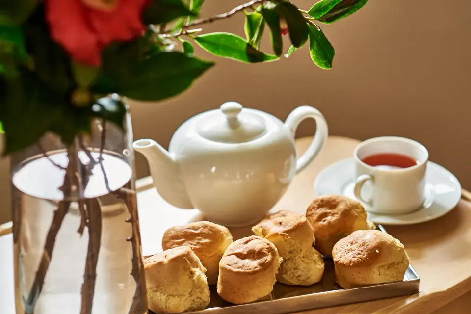 Gallery image from the aged care home.