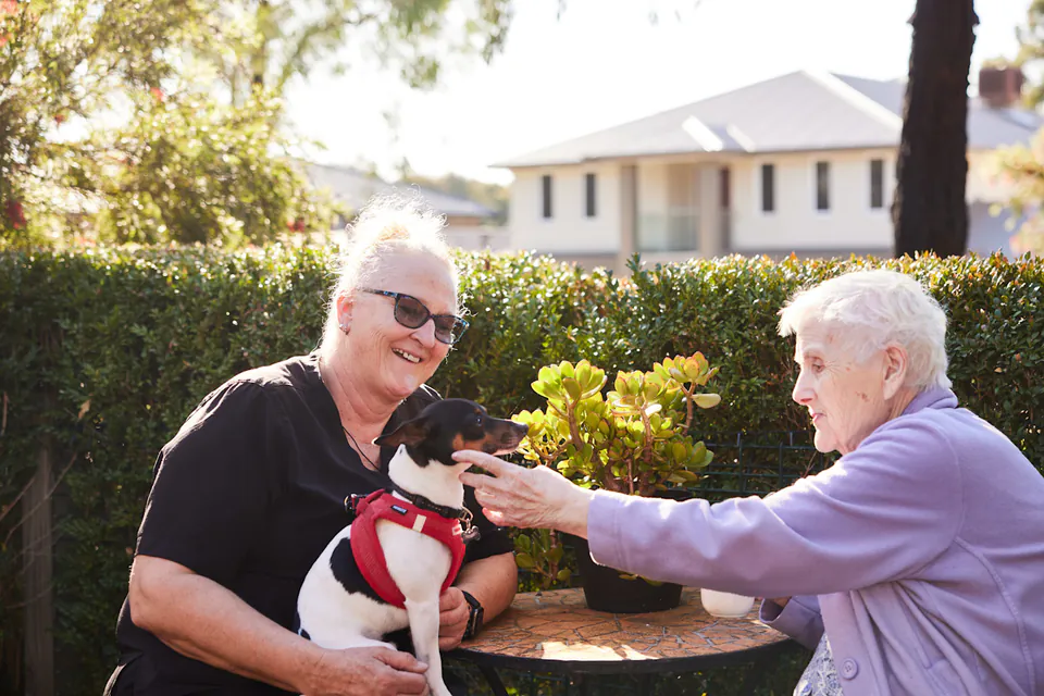 Older woman reaching toward a dog held by a visitor outdoors