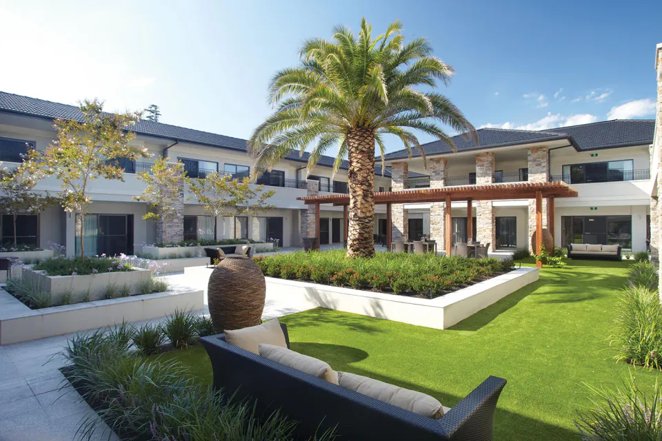 Landscaped courtyard with lawn and palm tree