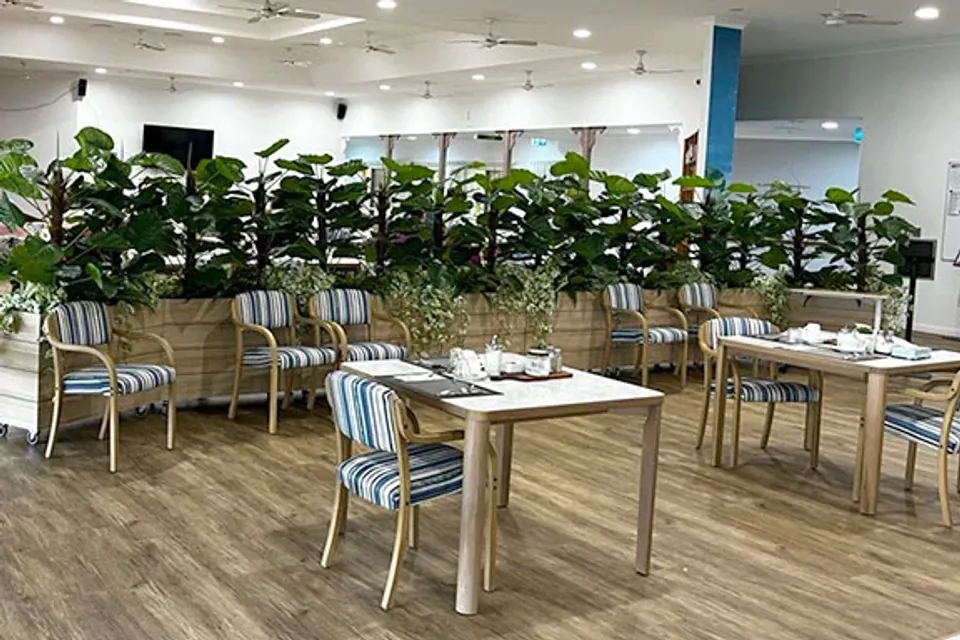 Dining tables and armchairs behind a planter