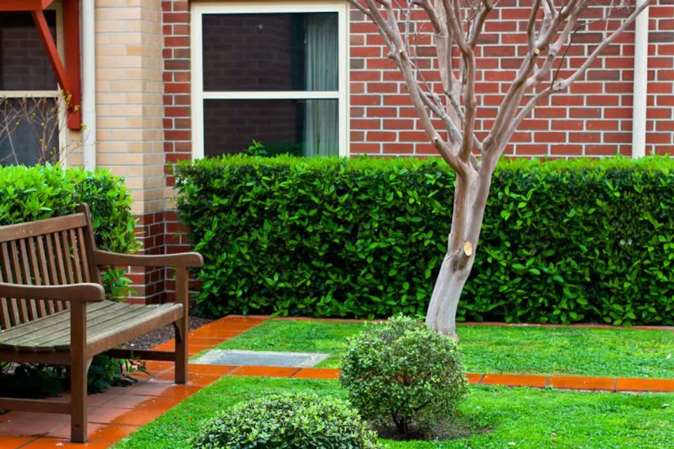 Landscaped lawn with a bench beside the brick residence.
