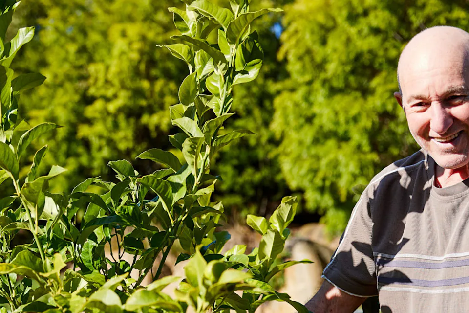 Older man smiling in a leafy garden