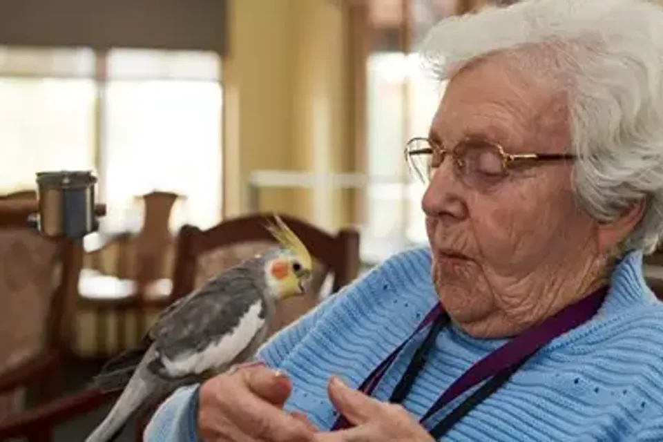 Gallery image from the aged care home.