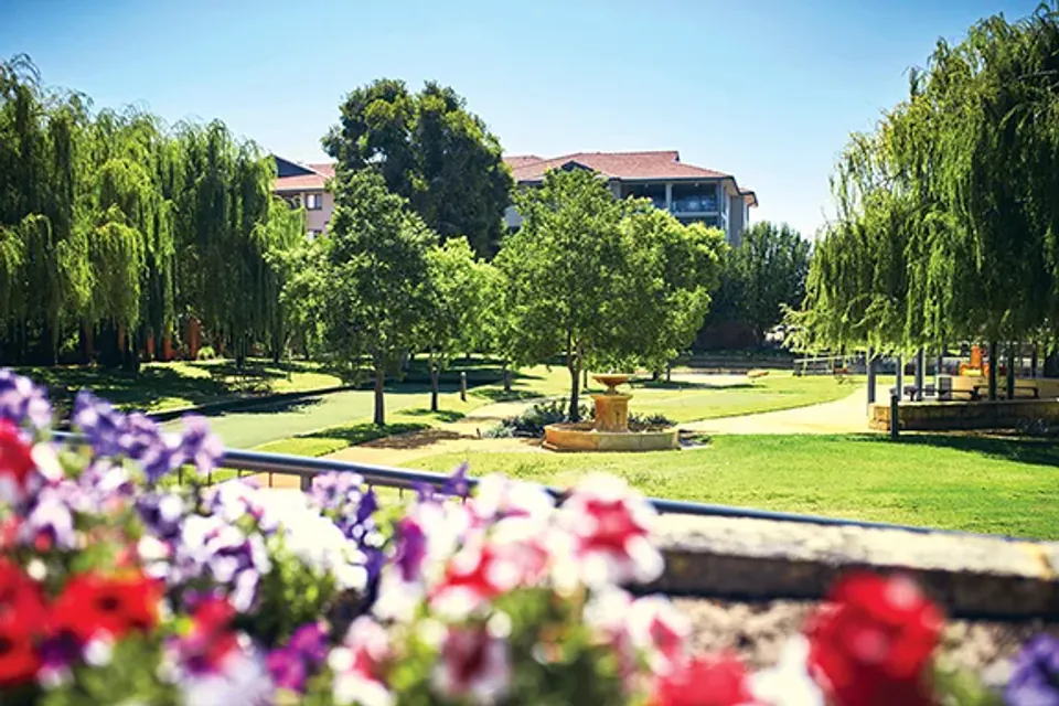 Lawn and trees seen from the residence