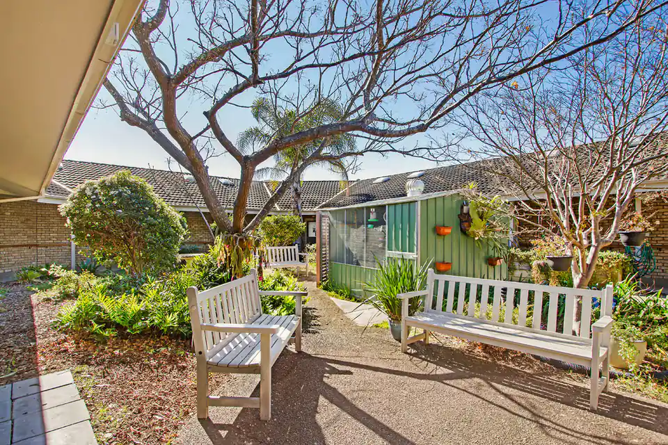 Two white benches beneath a tree in a garden courtyard