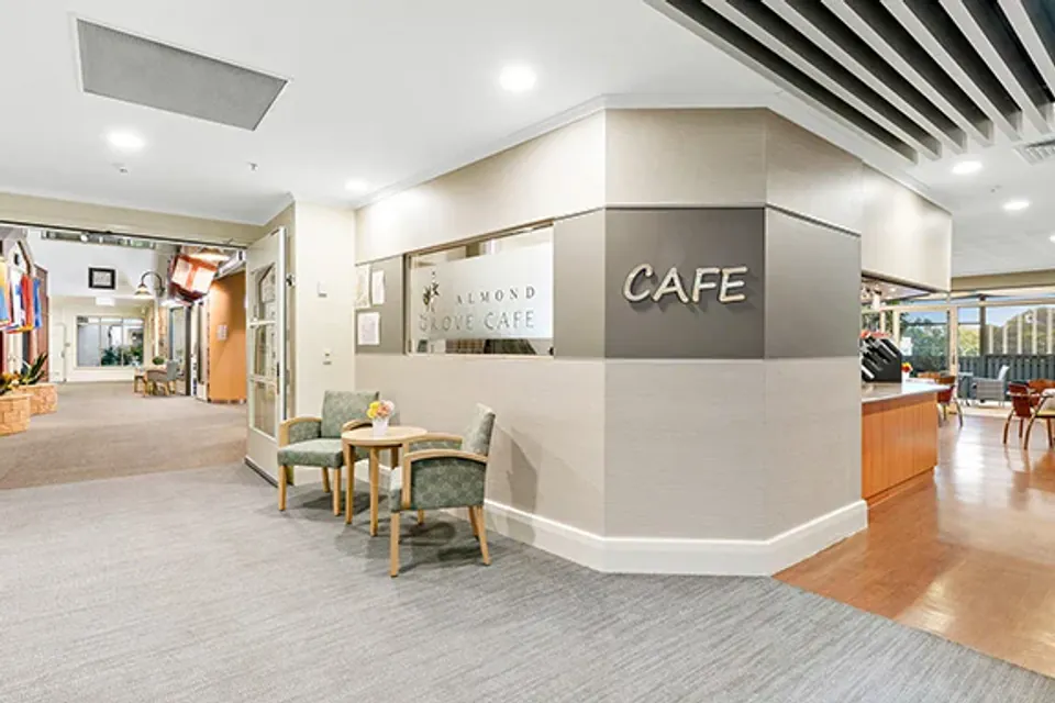 Cafe counter and seating area