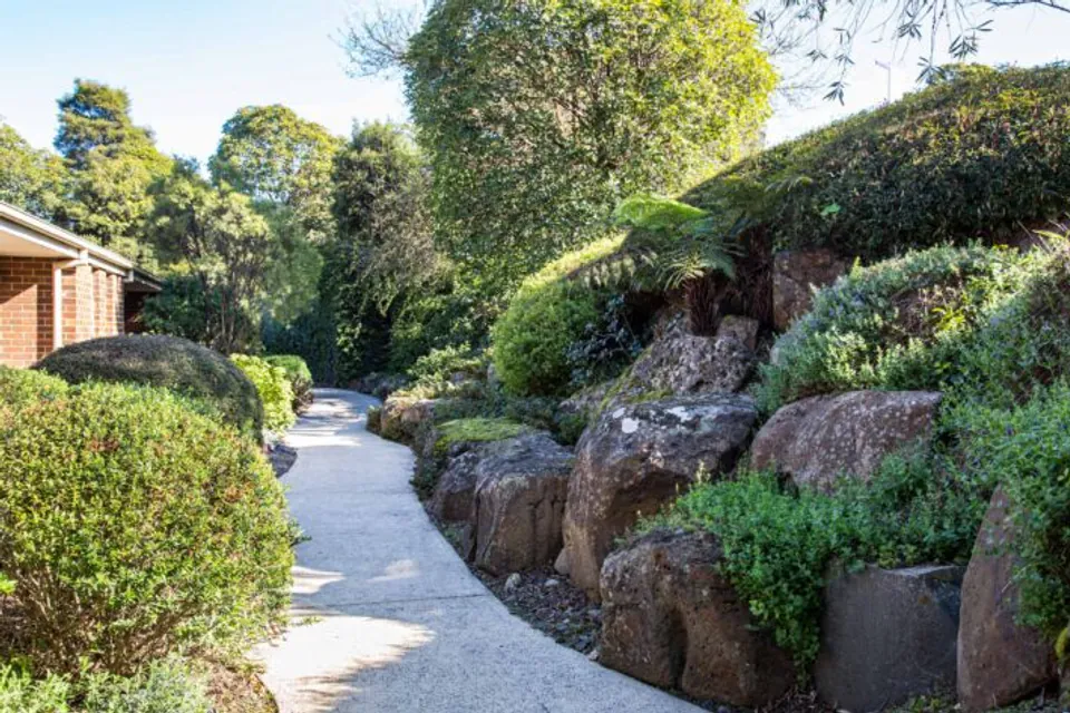 Garden path winding between trees and rocks