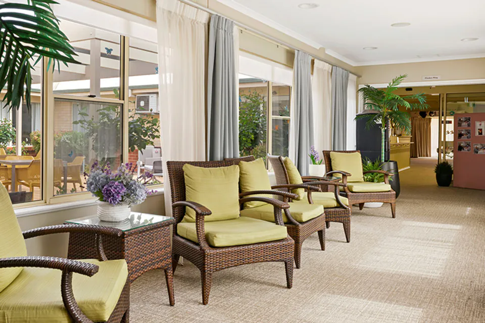 Sunlit lounge with armchairs beside large windows