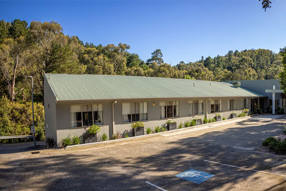 Low-rise building and driveway bordered by trees