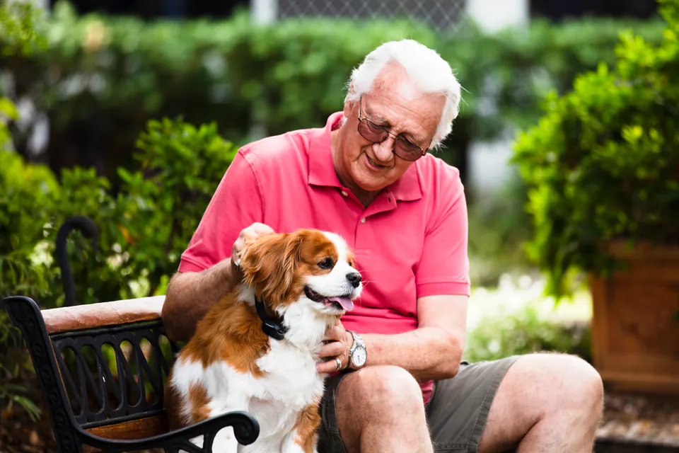 Gallery image from the aged care home.